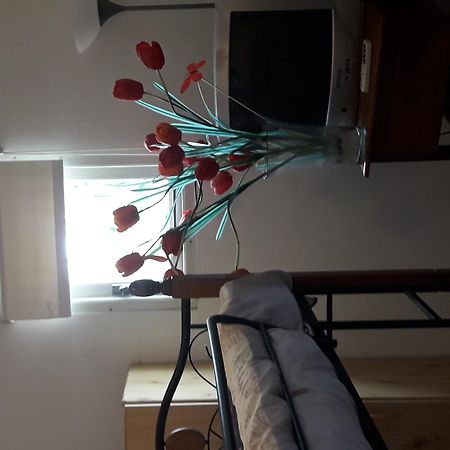 Palmita Hotel Hostel Oranjestad Eksteriør bilde