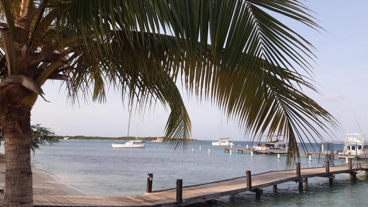 Palmita Hotel Hostel Oranjestad Eksteriør bilde