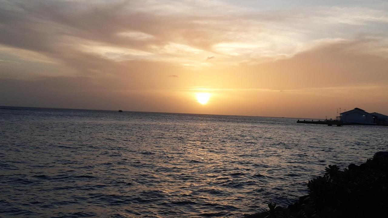 Palmita Hotel Hostel Oranjestad Eksteriør bilde