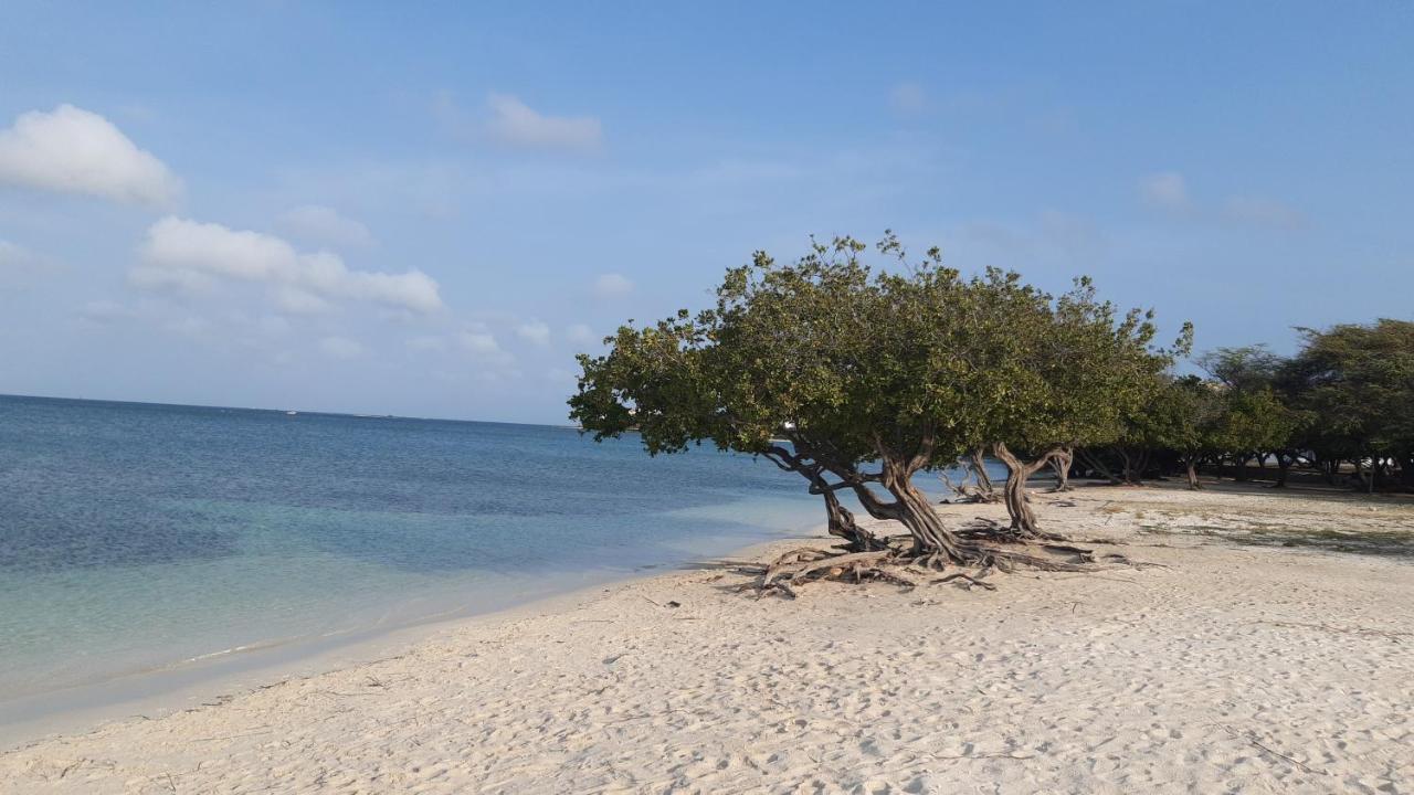 Palmita Hotel Hostel Oranjestad Eksteriør bilde