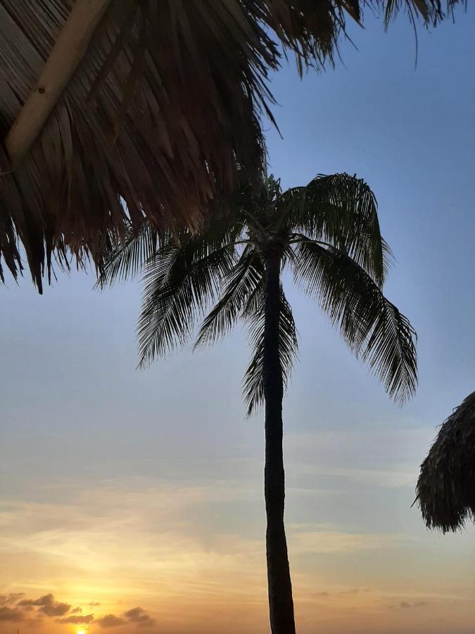 Palmita Hotel Hostel Oranjestad Eksteriør bilde