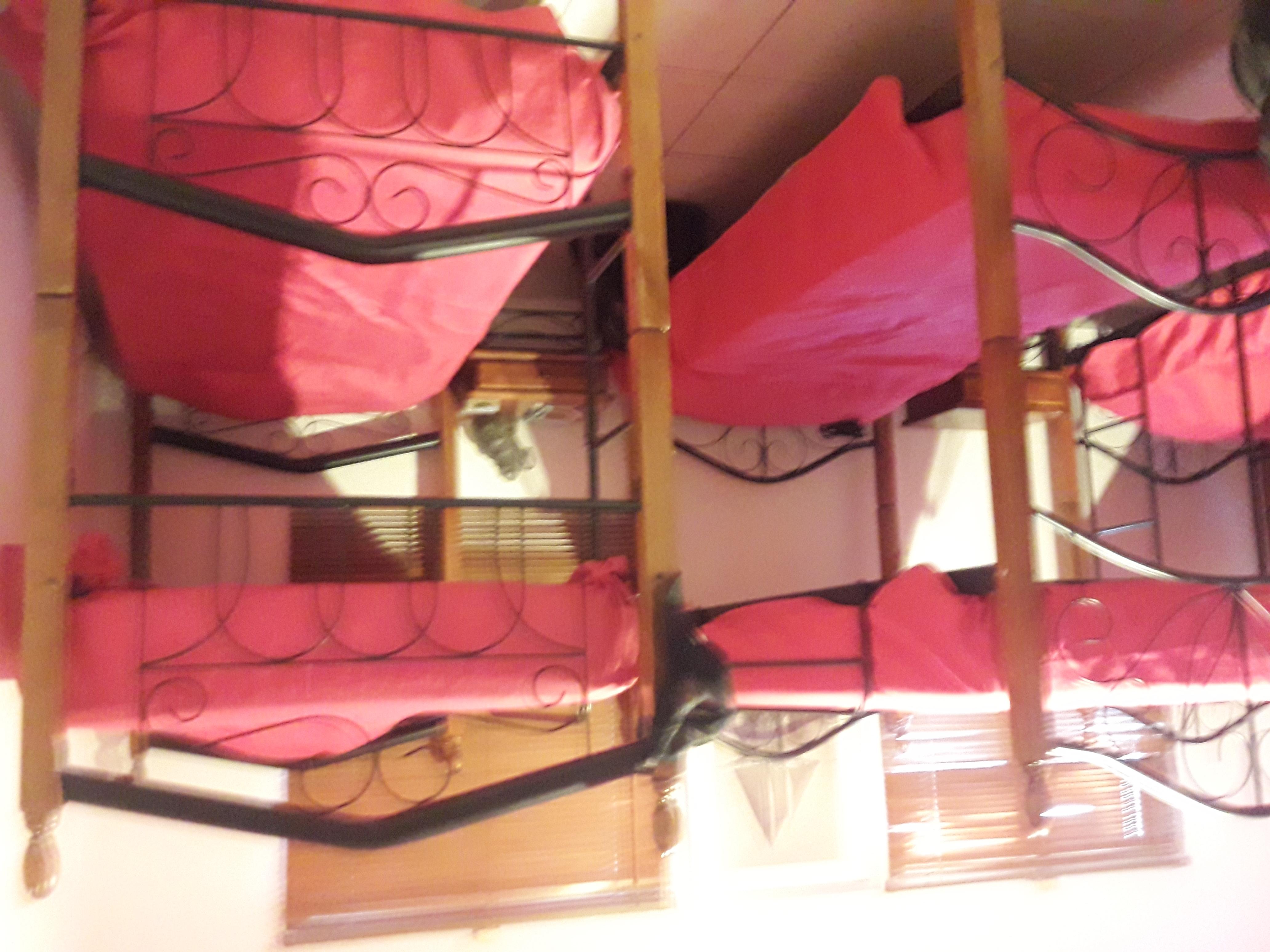 Palmita Hotel Hostel Oranjestad Eksteriør bilde