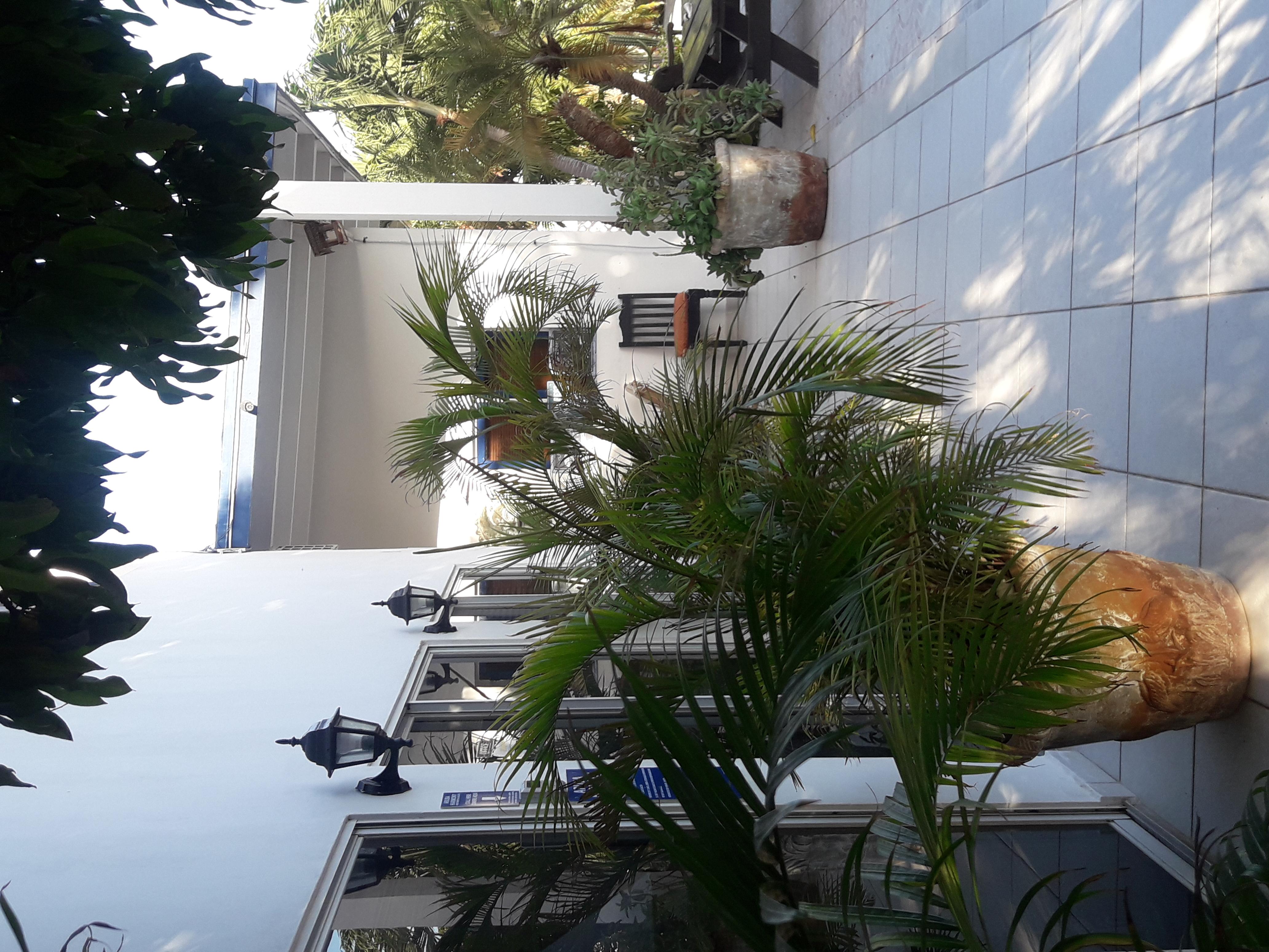 Palmita Hotel Hostel Oranjestad Eksteriør bilde