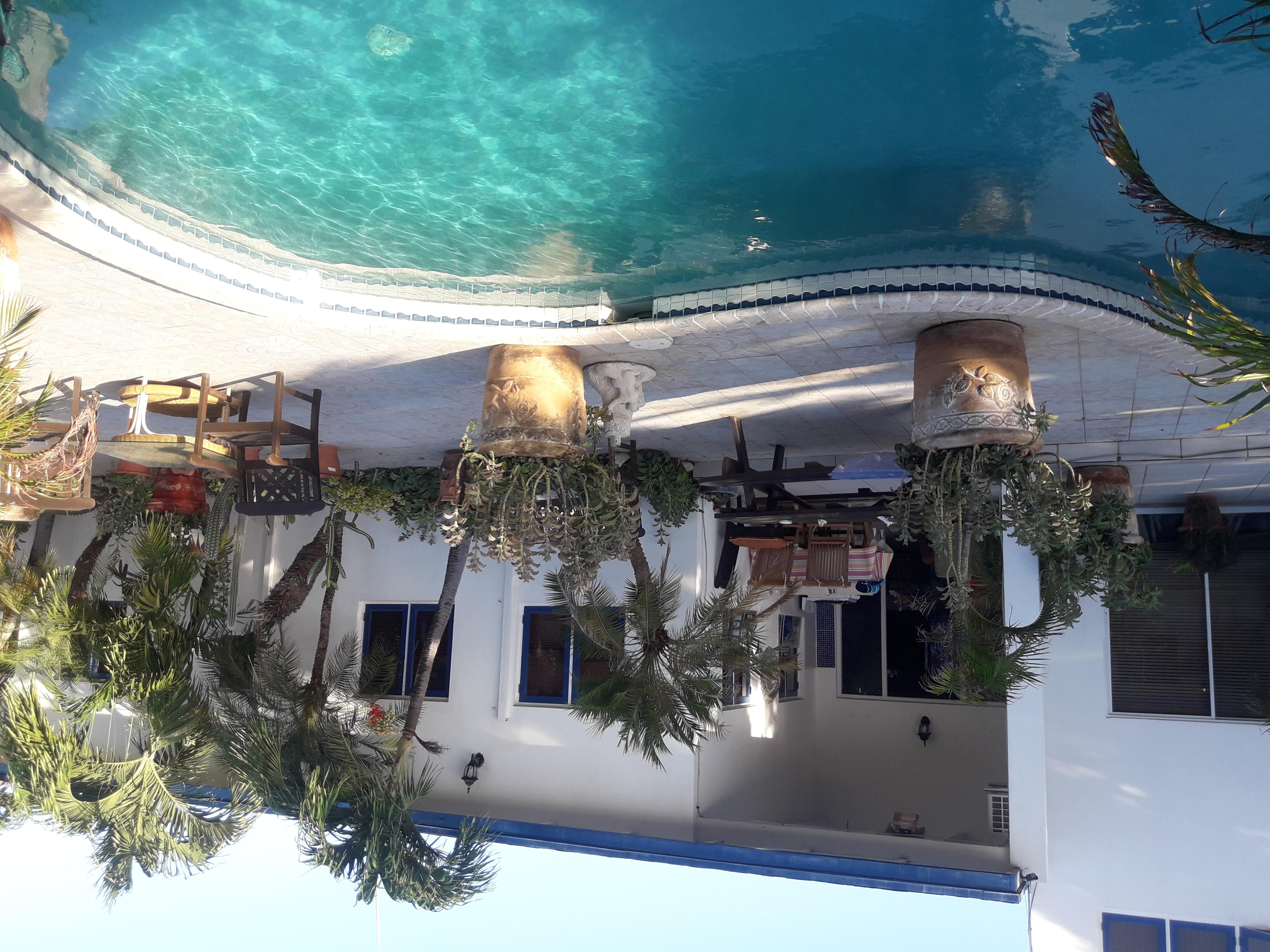 Palmita Hotel Hostel Oranjestad Eksteriør bilde