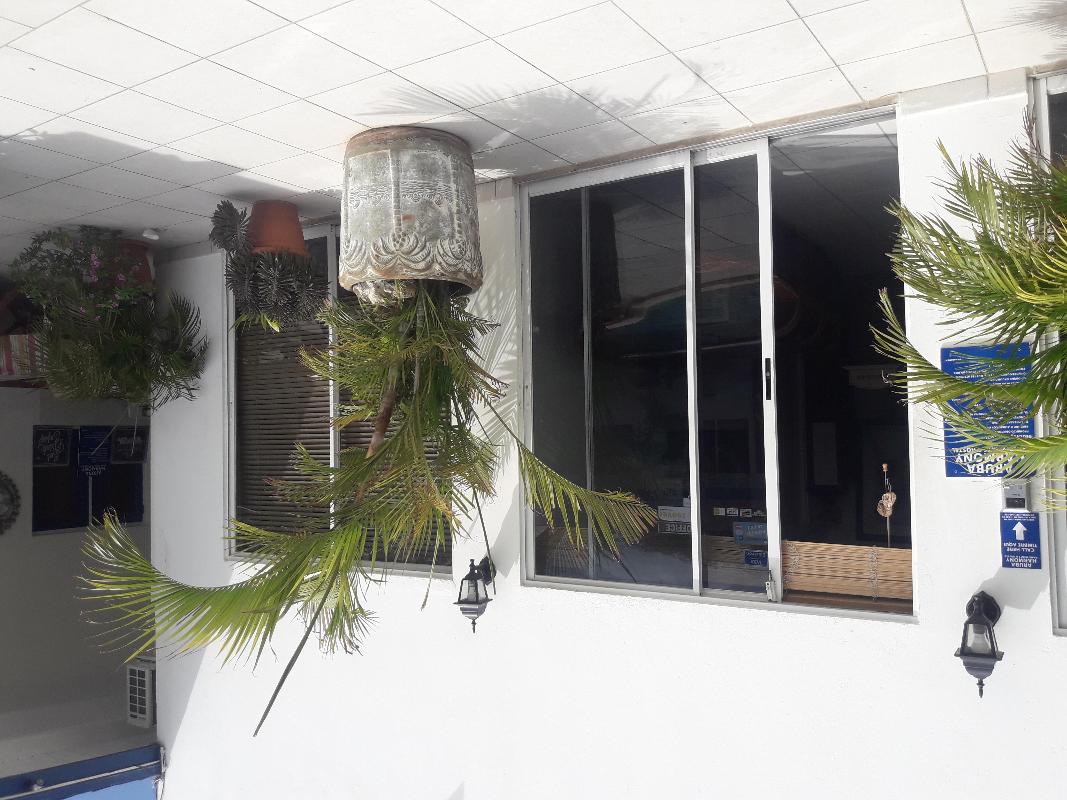 Palmita Hotel Hostel Oranjestad Eksteriør bilde