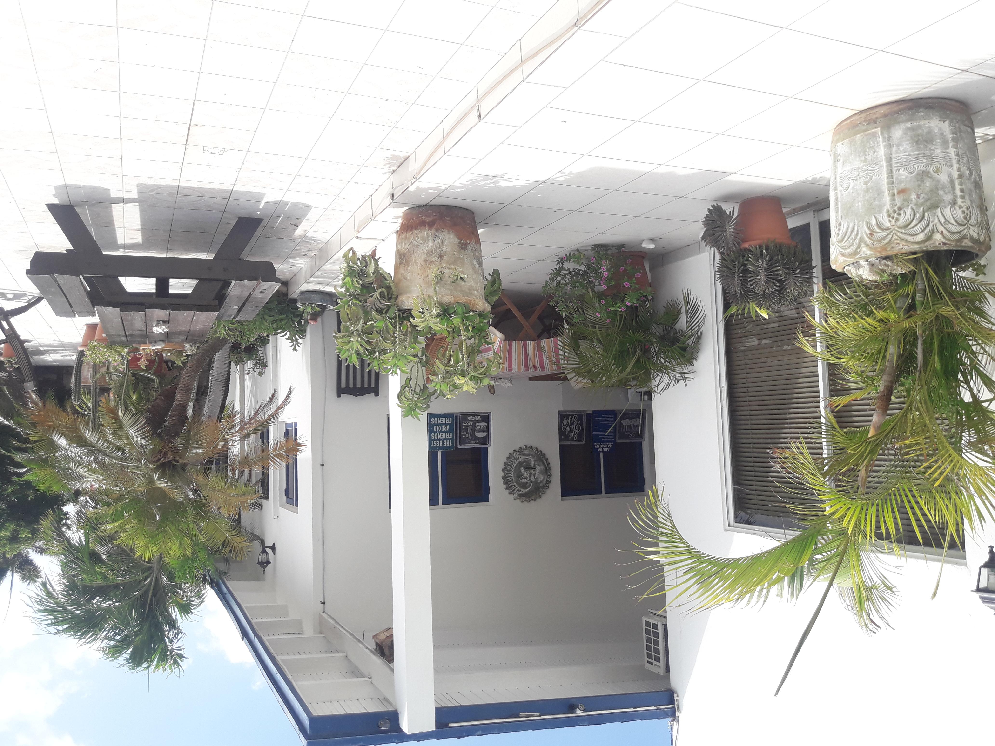 Palmita Hotel Hostel Oranjestad Eksteriør bilde
