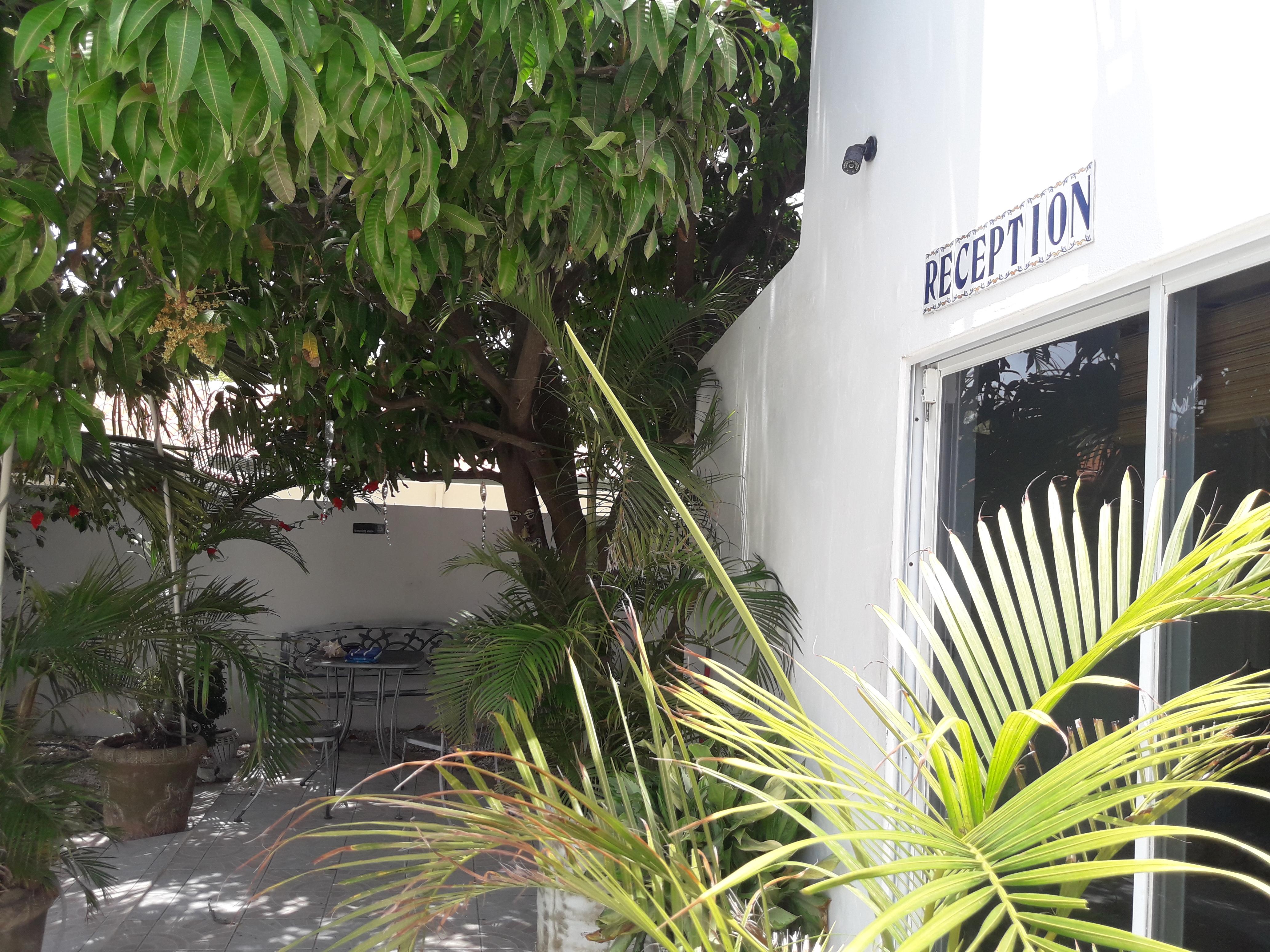 Palmita Hotel Hostel Oranjestad Eksteriør bilde