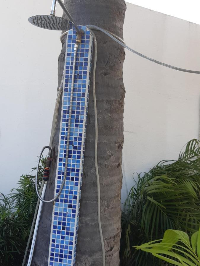 Palmita Hotel Hostel Oranjestad Eksteriør bilde
